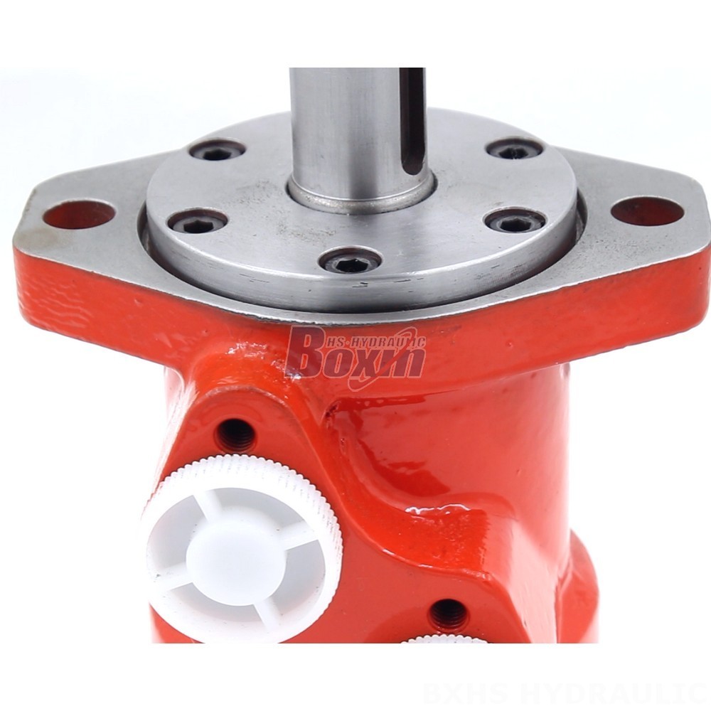 High-Quality BMR Cycloid Hydraulic Motor: Manufacturer Supply detail image